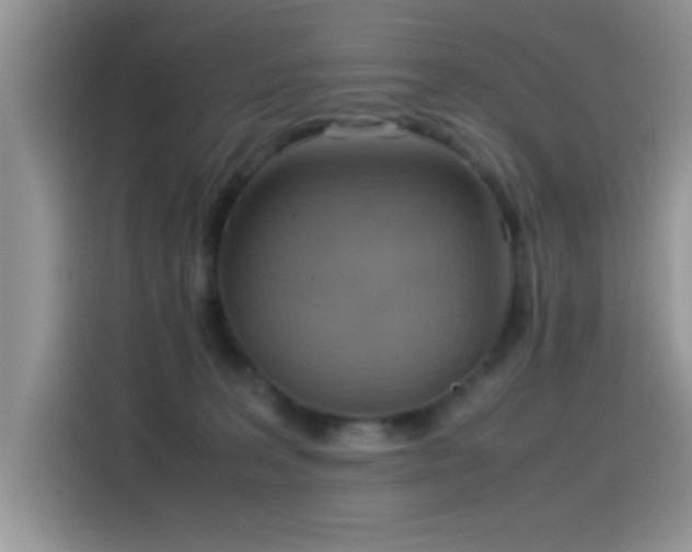 X0000115560227200911061559