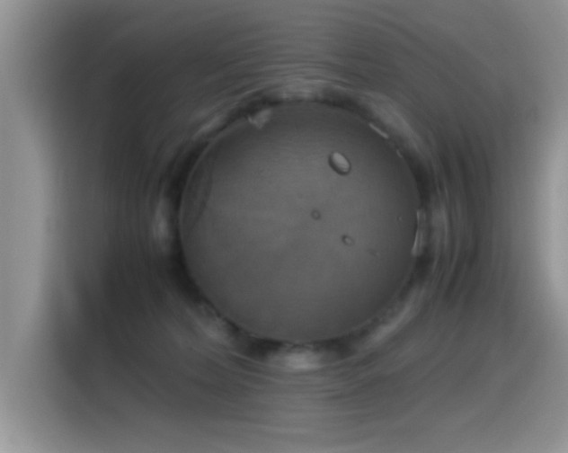 X0000115560228200911061559