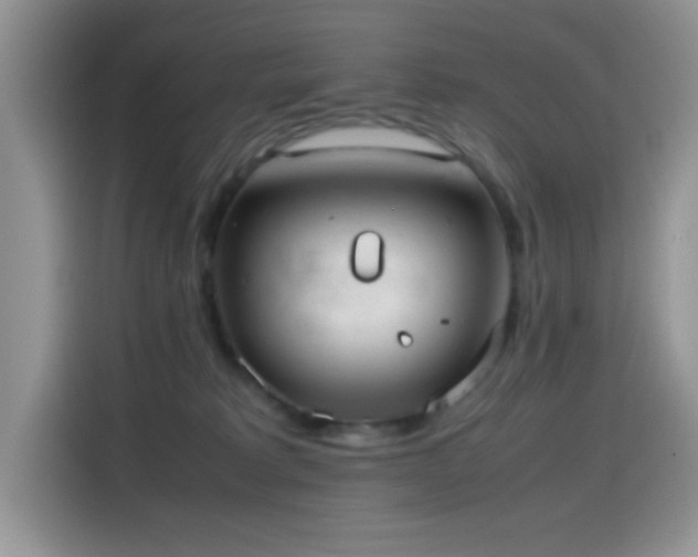 X0000115560229200911061559
