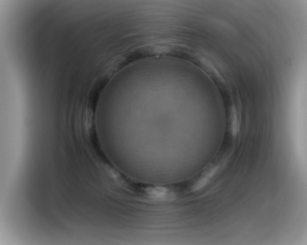 X0000115560230200911061559