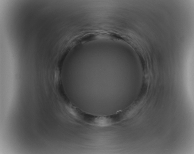 X0000115560231200911061559
