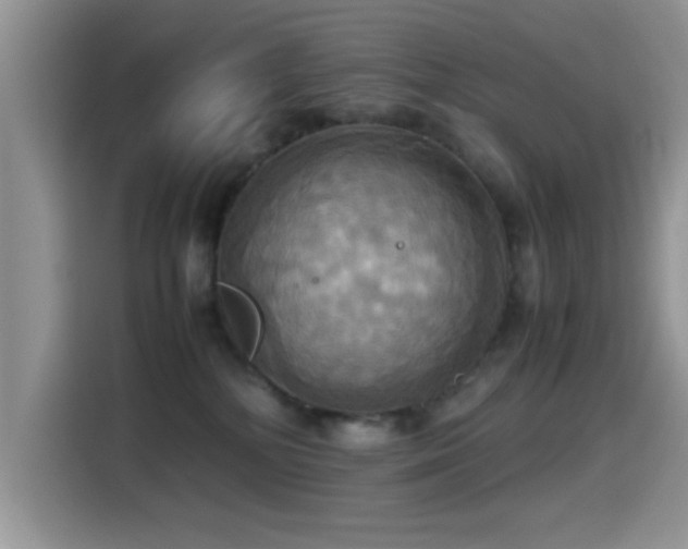 X0000115560232200911061559