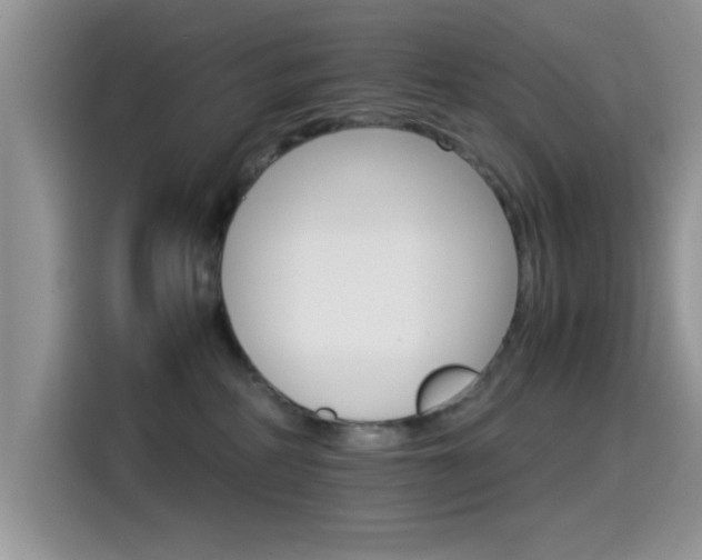 X0000115560234200911061559
