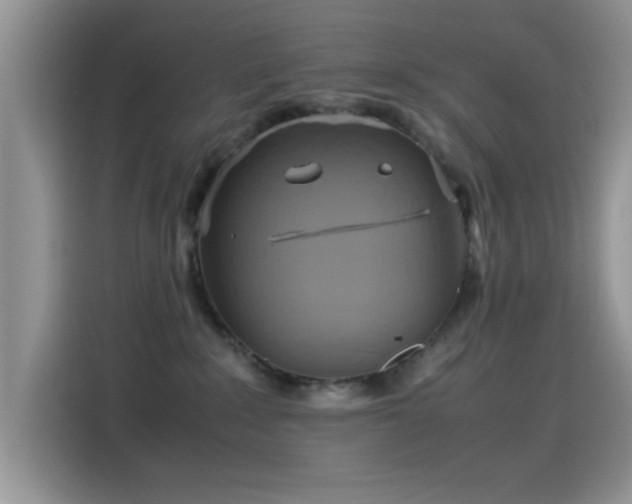 X0000115560235200911061559