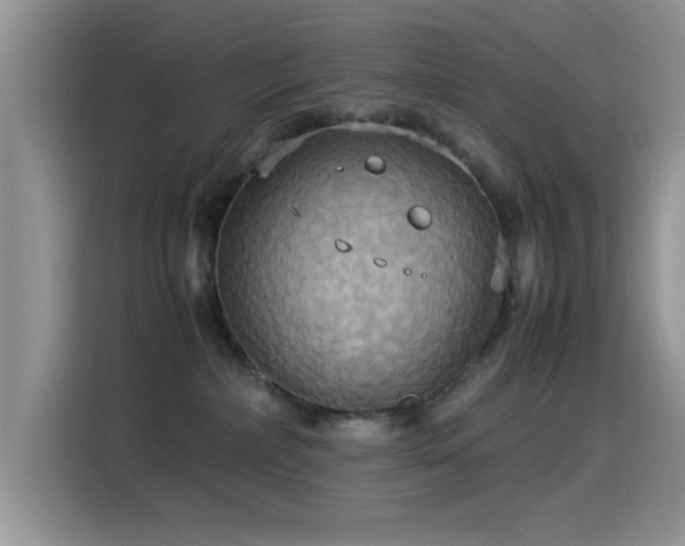 X0000115560236200911061559