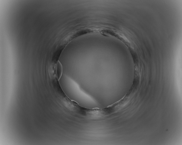 X0000115560237200911061559