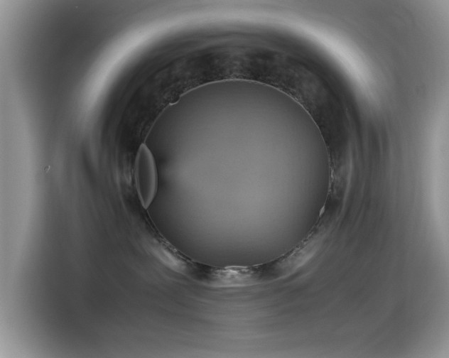 X0000115560239200911061559