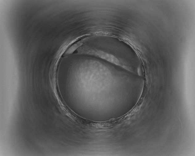X0000115560241200911061558