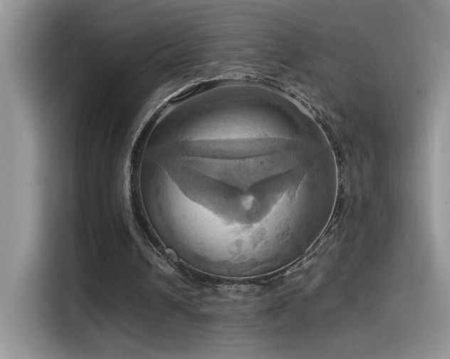 X0000115560242200911061559
