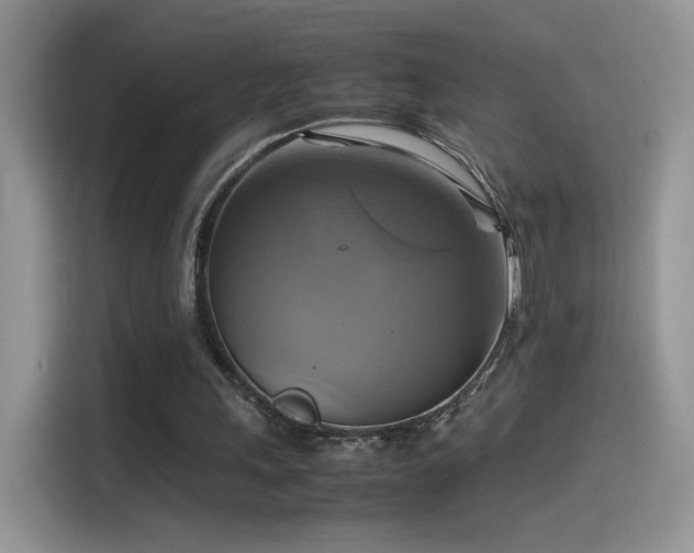 X0000115560243200911061559