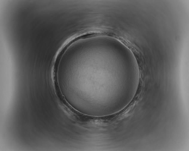 X0000115560244200911061559