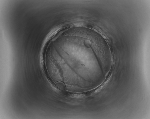 X0000115560245200911061559