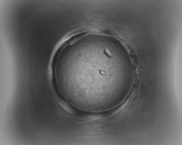 X0000115560246200911061559