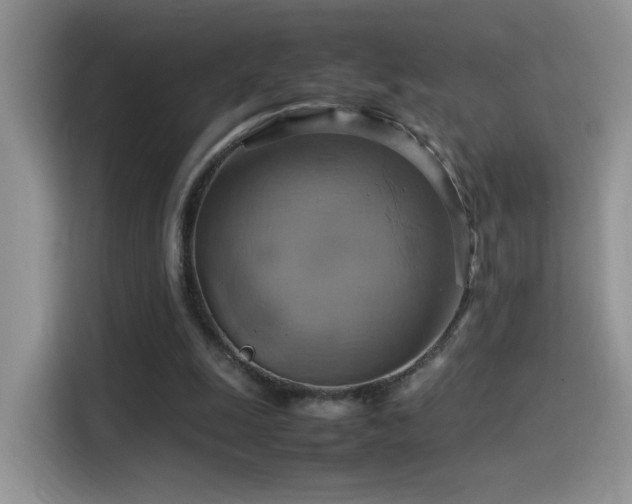 X0000115560247200911061559