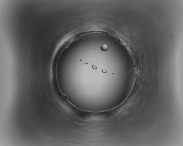 X0000115560248200911061559
