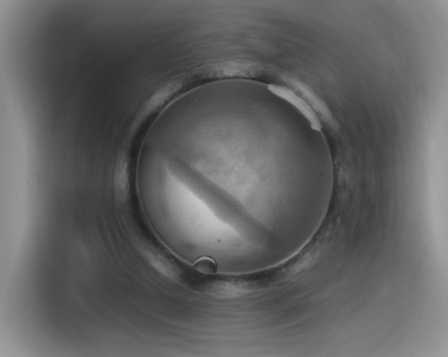 X0000115560250200911061559