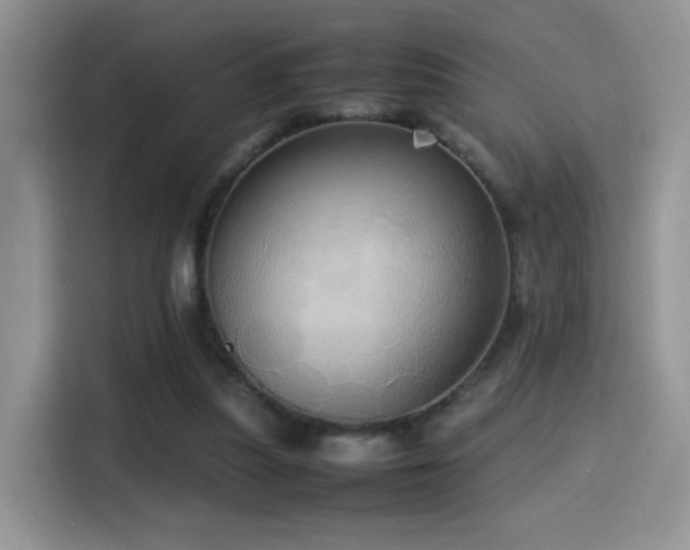 X0000115560251200911061559