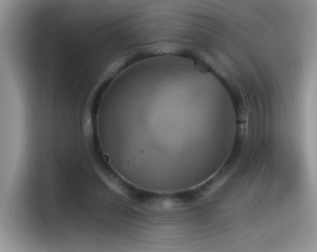 X0000115560254200911061559