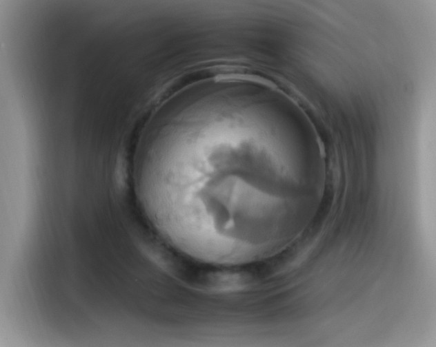 X0000115560255200911061559