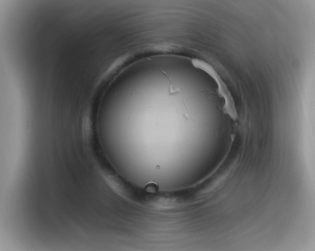 X0000115560256200911061559