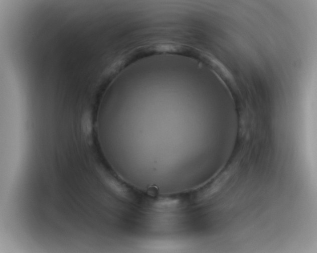 X0000115560257200911061559