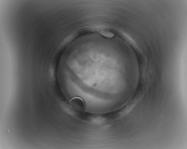 X0000115560258200911061559