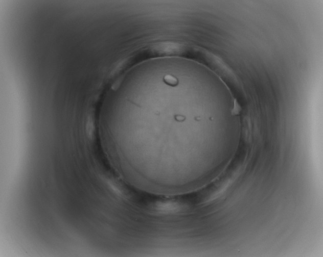X0000115560259200911061559
