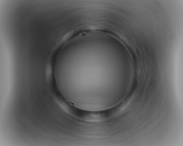 X0000115560260200911061559
