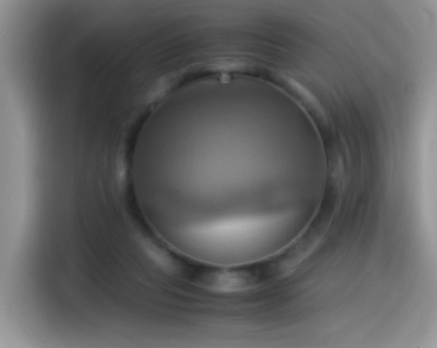 X0000115560261200911061559