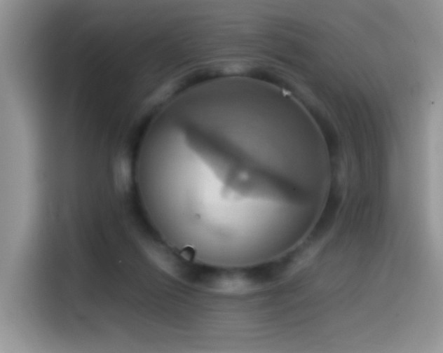 X0000115560262200911061559
