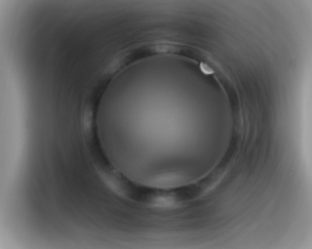 X0000115560263200911061559