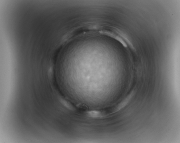X0000115560265200911061559