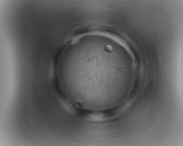 X0000115560266200911061559