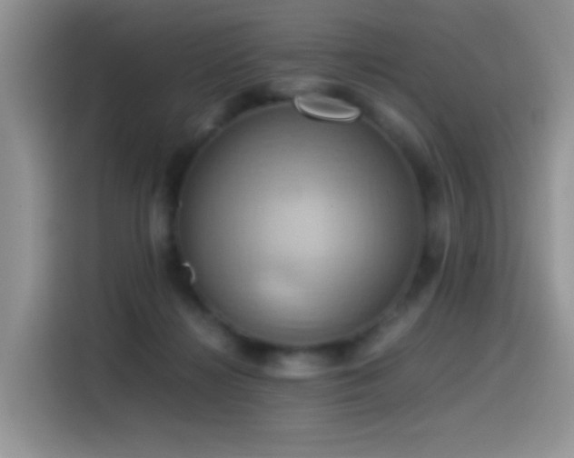 X0000115560268200911061559