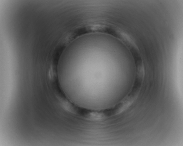 X0000115560272200911061559