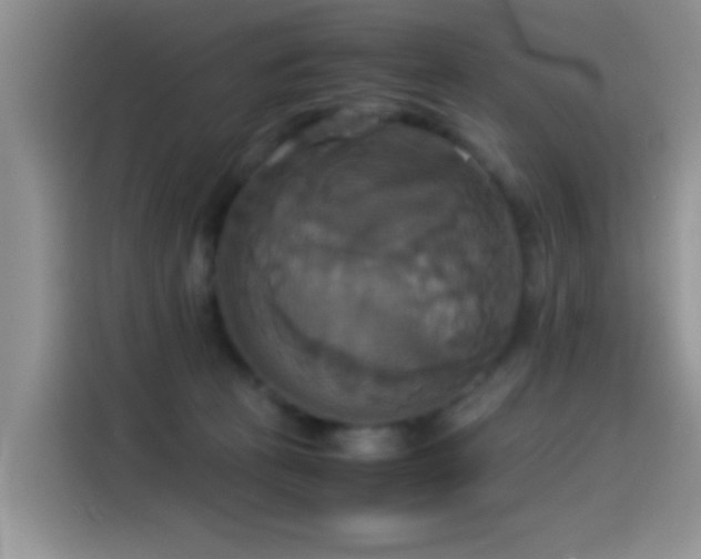 X0000115560273200911061559