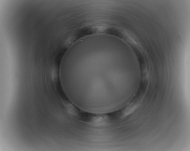 X0000115560274200911061559