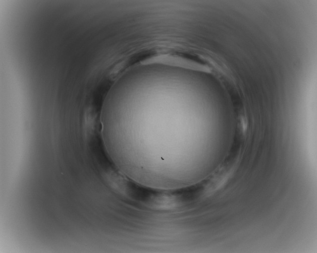 X0000115560276200911061559
