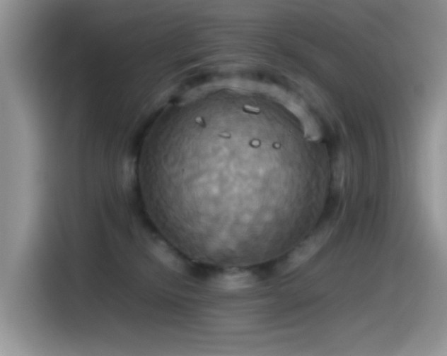 X0000115560278200911061559