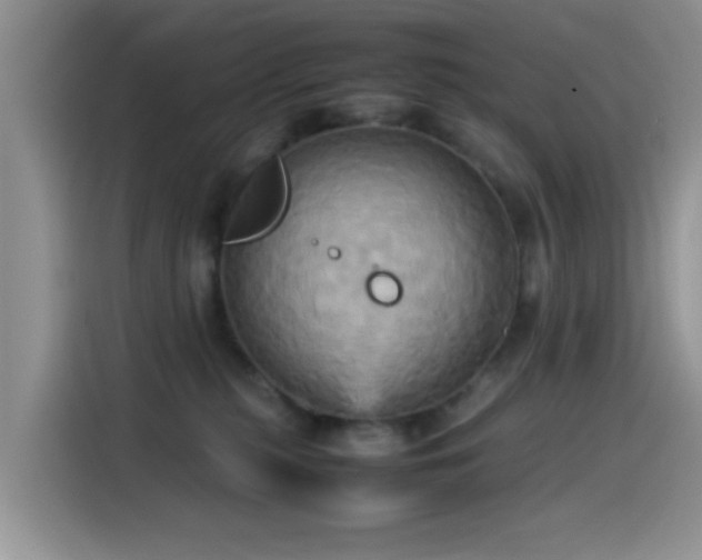 X0000115560279200911061559