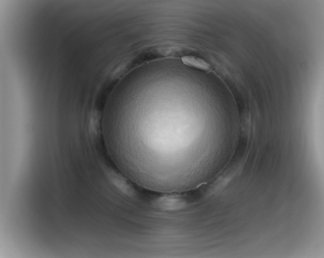 X0000115560280200911061559