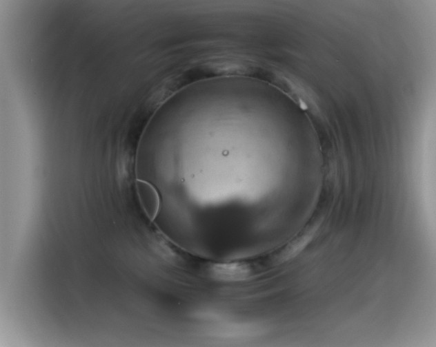 X0000115560281200911061559