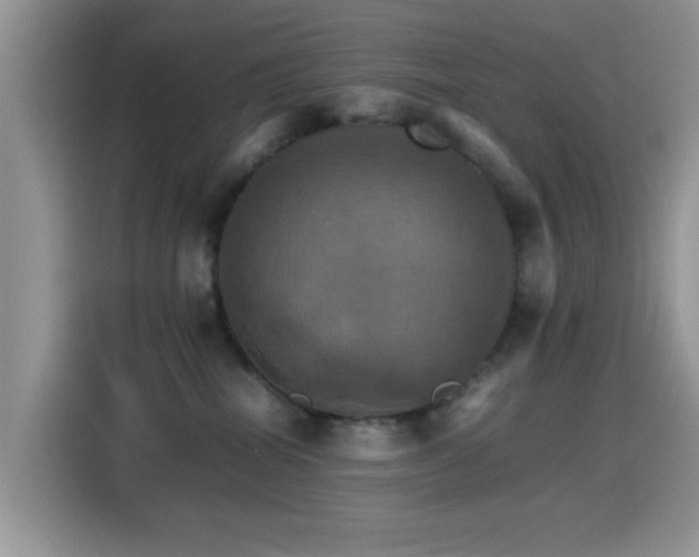 X0000115560282200911061559