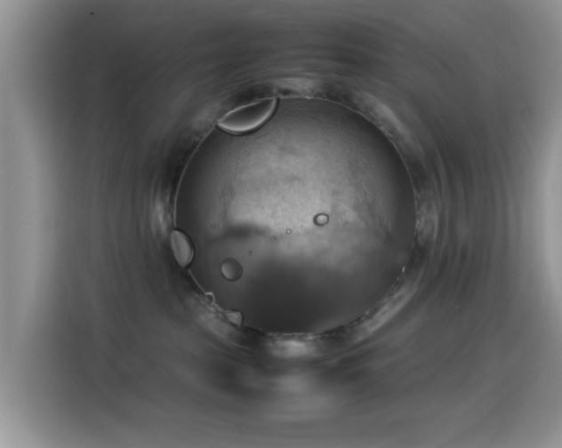 X0000115560285200911061559