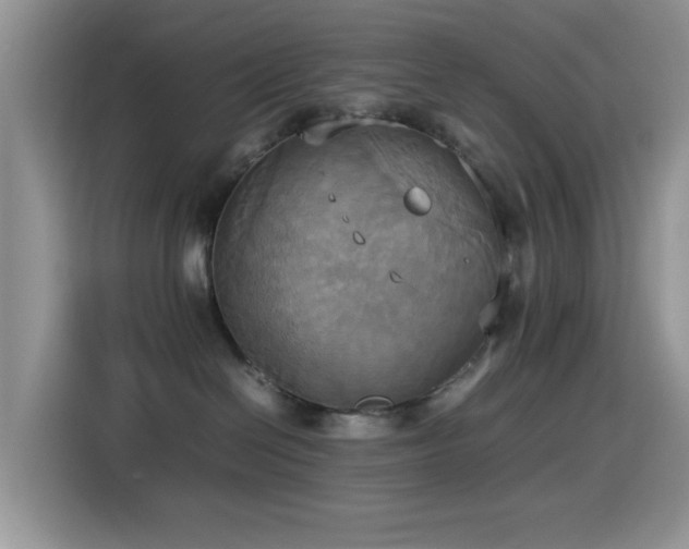 X0000115560286200911061559