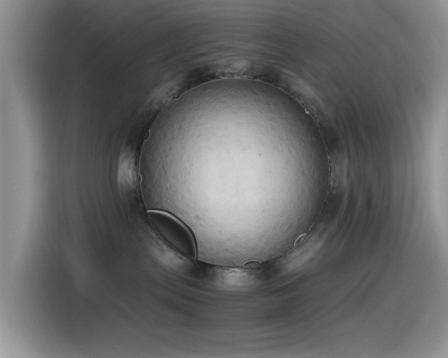 X0000115560287200911061559