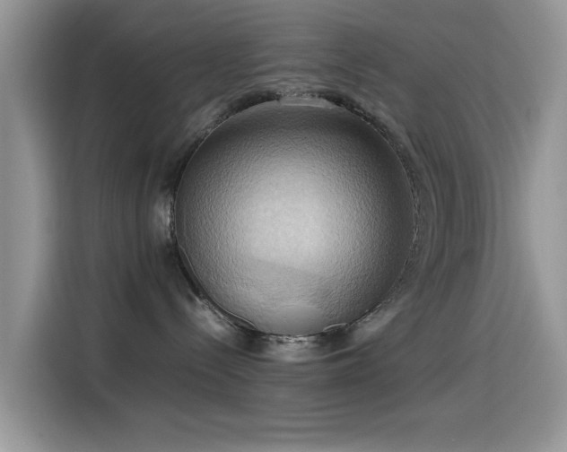 X0000115560288200911061559