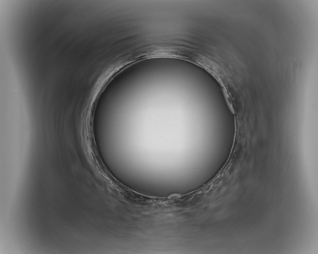 X0000115560289200911061558