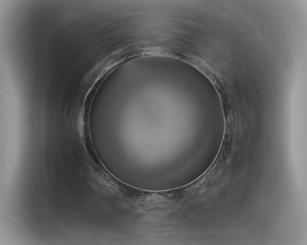X0000115560290200911061558