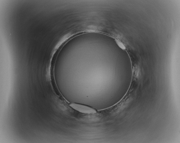 X0000115560292200911061558